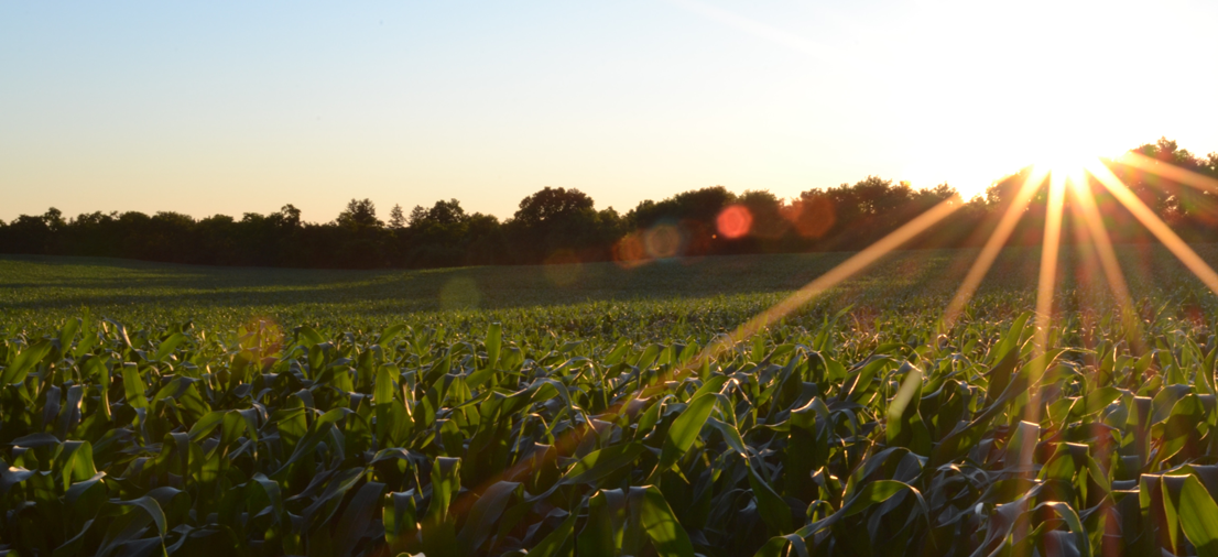 farm budget